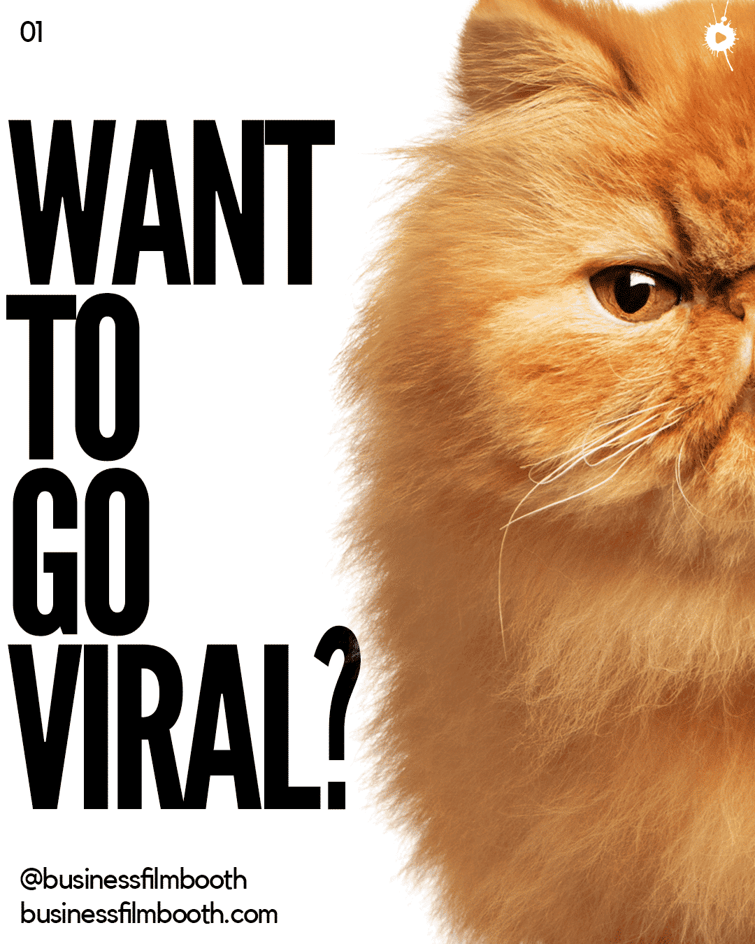 Want to go viral_01